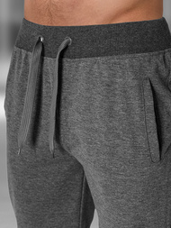 Grafitiniai vyriški sportiniai šortai OZONEE JS/XW07/5Z