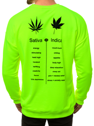 Žaliai-Neoninis vyriškas džemperis OZONEE MACH/3149