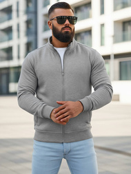 Pilkas vyriškas džemperis su užtrauktuku OZONEE JS/2002Z