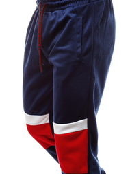 Granatinės vyriškos sportinės kelnės OZONEE JS/JZ11010