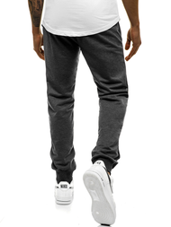  Grafitinės vyriškos sportinės kelnės JS/XW003S