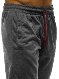 Grafitinės vyriškos sportinės kelnės OZONEE JS/JZ11016