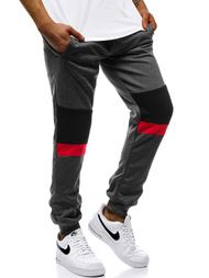 Grafitinės vyriškos sportinės kelnės OZONEE JS/JZ11016