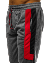 Grafitinės vyriškos sportinės kelnės OZONEE JS/JZ11019