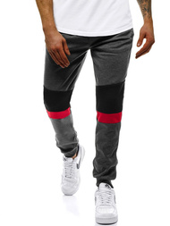 Grafitinės vyriškos sportinės kelnės OZONEE JS/JZ11016