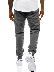 Grafitinės vyriškos sportinės kelnės OZONEE JS/JZ11019