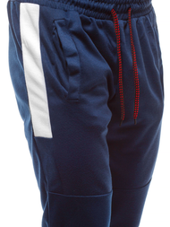 Granatinės vyriškos sportinės kelnės OZONEE JS/JZ11021Z