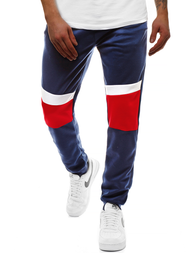 Granatinės vyriškos sportinės kelnės OZONEE JS/JZ11010
